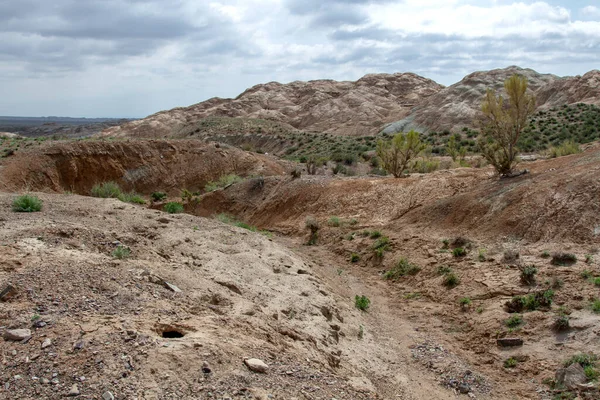 まばらな植生のカザフスタンの粘土チョークの丘 — ストック写真