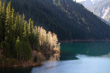 Kazakistan 'daki Alp Gölü Kolsay. Güneş ışınları ağaçların dalları arasından suyla farklı renklerde resmediyor..