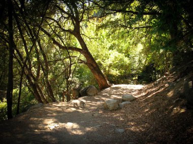 Hetch Hetchy Rezervuarı boyunca yürüyüş yolu, Kaliforniya, Abd