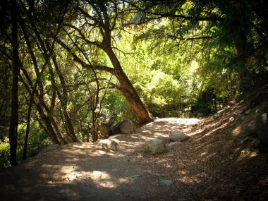 Hike path along Hetch Hetchy Reservoir, California, USA clipart