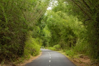 Beautiful Ghat road along the mountain range of Talamalai Reserve Forest, Hasanur, Tamil Nadu - Karnataka State border, India clipart