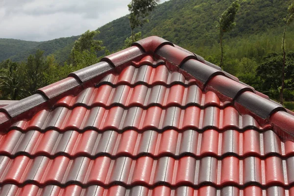 Vista da área florestal do telhado de casa de hóspedes em Hasanur, Tamil Nadu - fronteira Karnataka, Índia — Fotografia de Stock