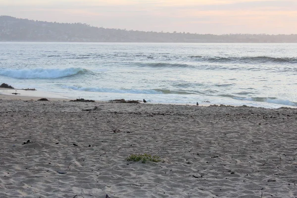 Hermosa playa en Sand City en el Condado de Monterey, California, Estados Unidos — Foto de Stock