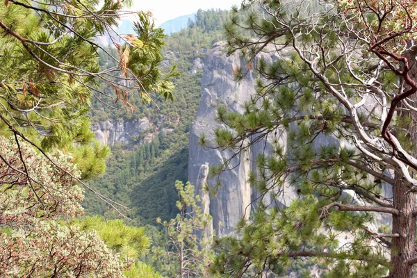 Vue panoramique du paysage dans le parc national Yosemite, Californie, États-Unis — Photo