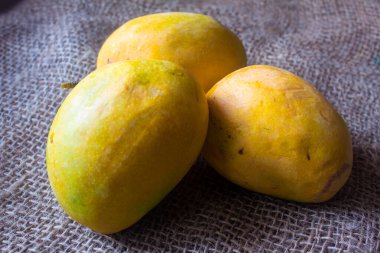 Sarı ve olgun Alphonso mangolarının görüntüsü