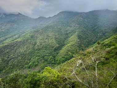 Bodimettu Manzarası, Bodinayakanur-Munnar Yolu, Tamil Nadu