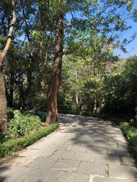 Çimlerin üzerinde taşlar olan parkta bir yürüyüş yolu. Bahçedeki taşlar boyunca yol, koorg, Karnataka