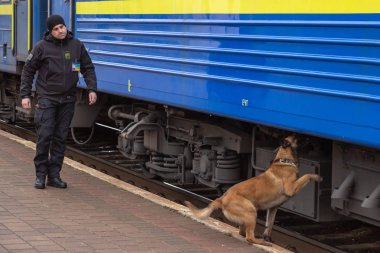 Bir servis köpeği ile Ukraynalı sınır bekçisi yolcu r denetler