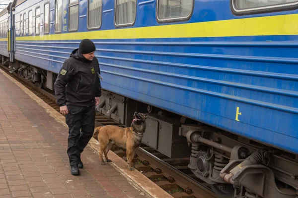 Bir servis köpeği ile Ukraynalı sınır bekçisi yolcu r denetler