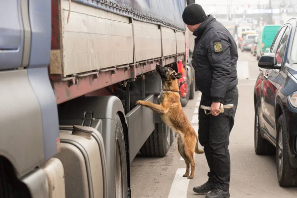 СИДЖИНИ, УКРАИНА - НОЯБРЬ, 2018: Украинский пограничник с автоматом — стоковое фото