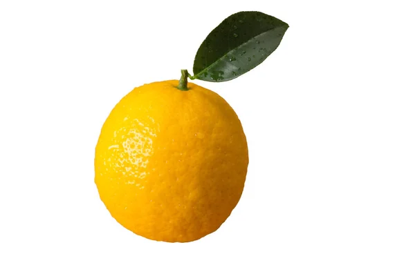 Fresh orange lemon fruit with a small green leaf — Stock Photo, Image