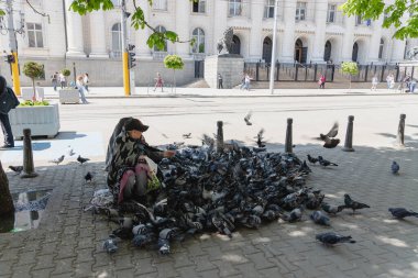 SOFYA, BULGARIA - 3 Mayıs 2019: Bulgaristan 'ın Sofya kentindeki kuş kadın adliye binasının önünde oturmuş güvercinleri besliyor.