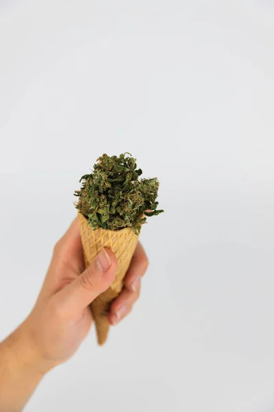 マリファナの芽でいっぱいのアイスクリームコーンを持っている女性の手 マリファナの花を乾燥させました 白い背景に隔離されている 甘い中毒 — ストック写真
