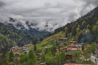 Doğayla barışın doruk noktası