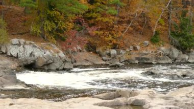 Sonbahar, bu büyülü manzarayı yaratan dökülmüş boya ağaçları gibidir.