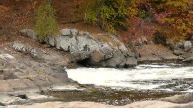 Sonbaharda güzel boyanmış nehir kıyılarının ekstra 1 dakika yavaş çekimi.