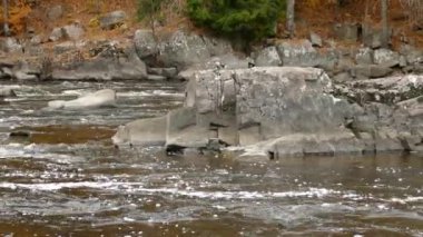 Soğuk, vahşi bir sonbahar gününde karanlık sulardan çıkan büyük bir kaya.