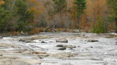 Su sonbaharda nehir yatağında yavaşça akıyor.