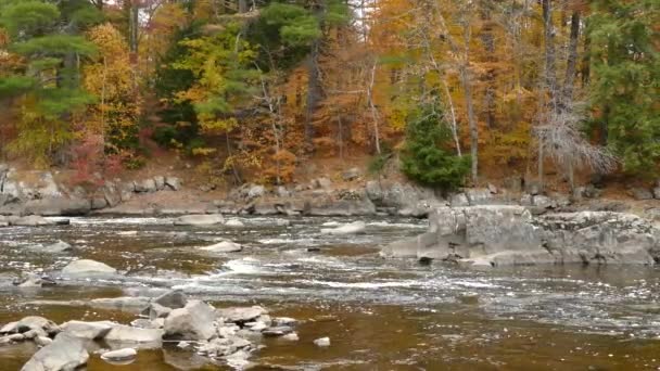 Wow Ist Wahrscheinlich Das Einzige Wort Das Diese Atemberaubende Herbstlandschaft — Stockvideo