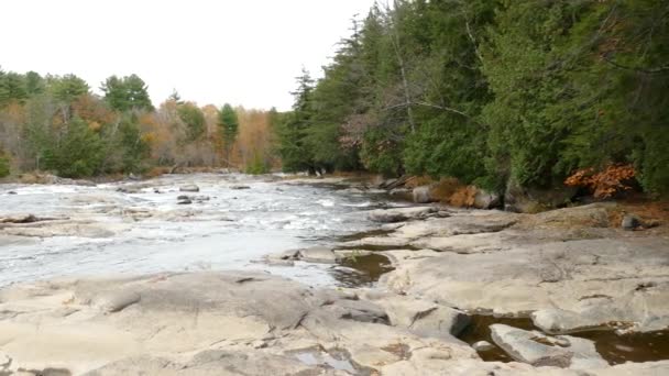 Beide Kanten Van Een Rivier Herfst Weergegeven Langzame Continue Panoramische — Stockvideo