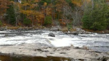 Uzun Riviere Rouge sonbaharda büyük Kanada Kalkanı 'nı deviriyor.