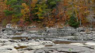 Kırmızı, turuncu ve yeşil ağaçlar yemyeşil cennetteki vahşi bir nehrin kenarını kirletir.