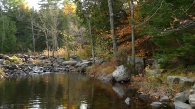 Saf yemyeşil yabani sonbaharda yumuşak su akıntısı gölette akıyor.
