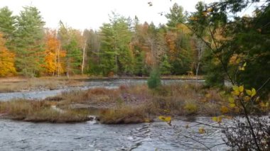 Kanada 'da sonbaharda geniş bir nehrin ortasında oluşturulan küçük adalar