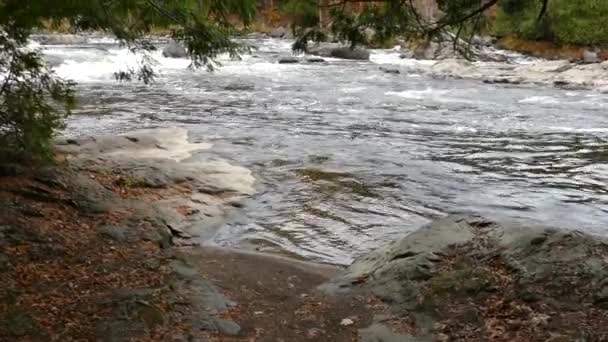 Small Oscillating Waves Shore White Water Rapids River — Stock Video