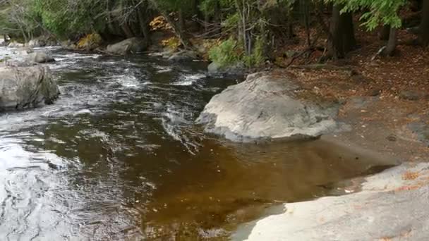 Kecil Patch Pantai Berpasir Tenang Sungai Yang Sebaliknya Mengalir Pada — Stok Video