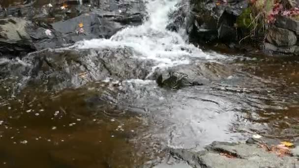 Água Cristalina Pura Rio Norte Americano Que Desce Pelo Riacho — Vídeo de Stock