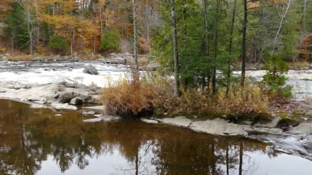 Stunning Autumn Scenery Overcast Day Trees Colors — Stock Video