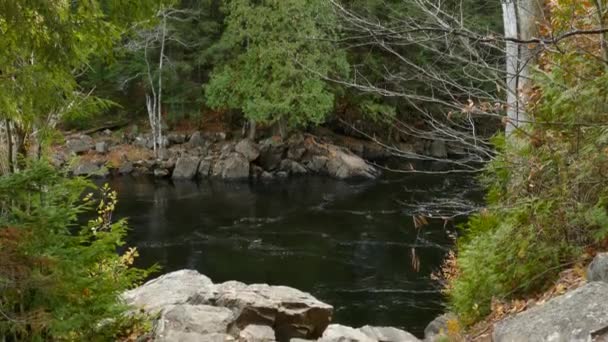 Droom Van Wildernis Komt Uit Als Deze Rivier Scène Zich — Stockvideo