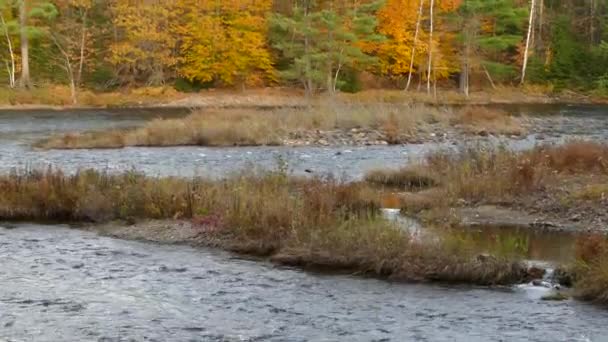 Naturaleza Del Otoño Revelada Lentamente Los Ojos Del Espectador Movimiento — Vídeo de stock