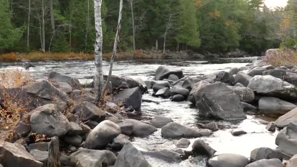一条大河的水流过大石头 正朝我们的方向流来 — 图库视频影像