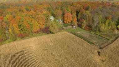 Sonbahar ormanlarında, mısır tarlasının köşesindeki evin havadan görünüşü.