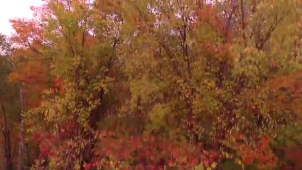 Natuur Creëren Weergeven Van Verbazingwekkende Kleuren Gefilmd Door Drone Tijdens — Stockvideo