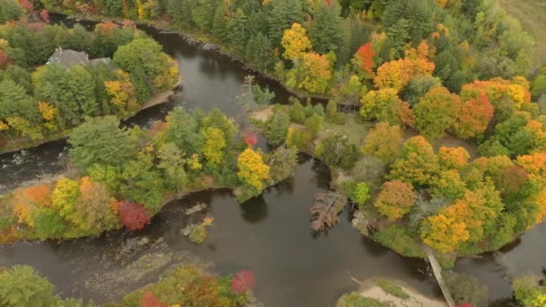 Vista Aerea Celeste Del Parco Fluviale Canada Durante Bella Stagione — Video Stock