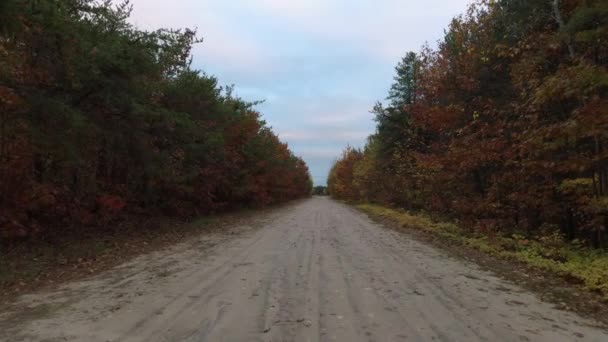 Drone Gaat Vooruit Dirtroad Voor Het Optillen Tussen Rijen Bomen — Stockvideo