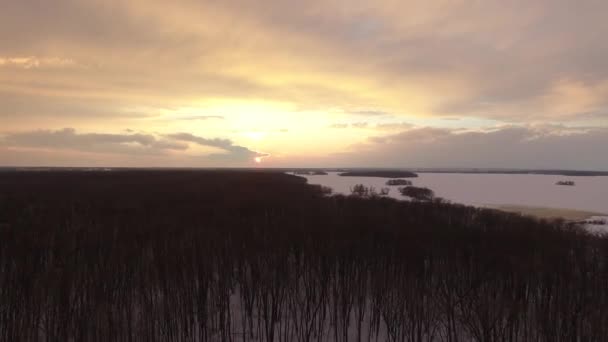 Беспилотник Пролетает Над Лесом Приближаясь Прибрежной Зоне Водой Покрытой Льдом — стоковое видео