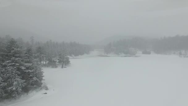 雪の嵐の中 白い氷に覆われた湖を飛び越えるドローンは森へ — ストック動画