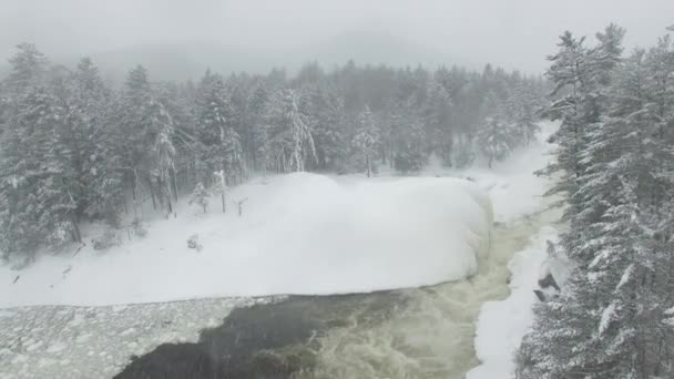 Drone Πετούν Προς Πάνω Αργά Εκθέτοντας Όμορφο Λευκό Χιονισμένο Δάσος — Αρχείο Βίντεο