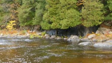 Kanada 'da sonbaharda başarılı bir ekosistemin anahtarı bitki örtüsündeki çeşitliliktir.