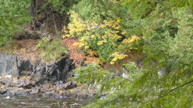 Nehre düşmek için siyah, dramatik kayalıklardan aşağı su damlacıkları düşüyor.