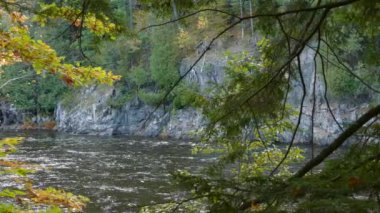 Sonbahar ormanlarının dışına bakmak güzel bir nehir uçurumu kayalıklarını gözler önüne seriyor.