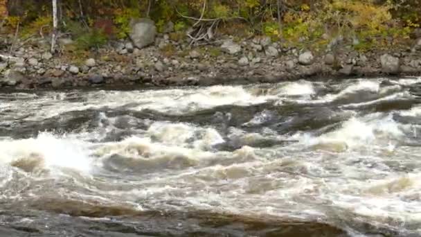 急流の白い川が岩の上を流れ 流れが谷を下ります — ストック動画