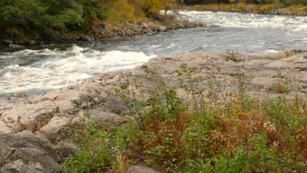 秋に自然の肩を作る強力な川を明らかに撮影をパンアップ — ストック動画
