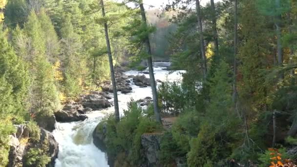 Giornata Ventosa Una Visita Alle Cascate Autunno Con Alto Flusso — Video Stock