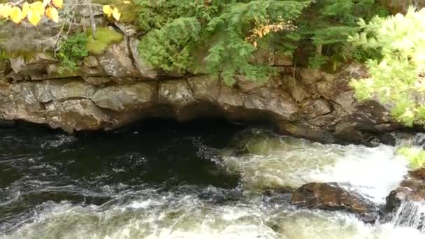 Водяний Вихор Створює Вихор Під Великими Скелями Утворюють Береги Річки — стокове відео