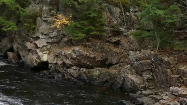 Agua Excavada Través Piedra Durante Siglos Ahora Fluye Sus Paredes — Vídeos de Stock